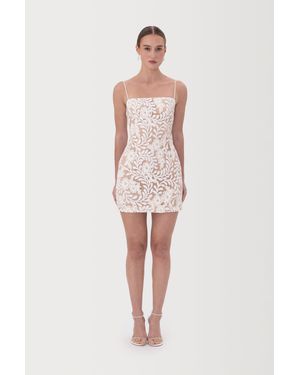 SAU LEE Sara Lace Mini Dress - Multicolour
