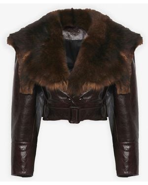 Chloé Brown Cropped Leather Jacket - Black