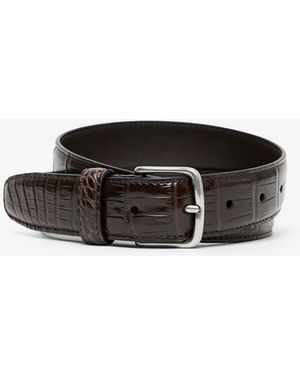 The Row Classic Brown Leather Belt - Black