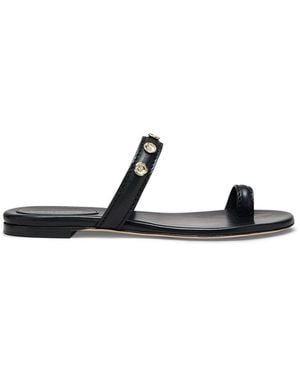 Scanlan Theodore Poppy Flat Sandal - Black