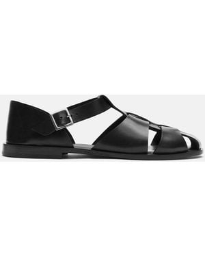 SCAROSSO Apollo Brown Sandals - Black