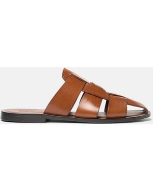 SCAROSSO Perseo - Brown