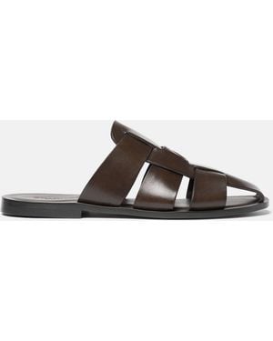 SCAROSSO Perseo - Brown
