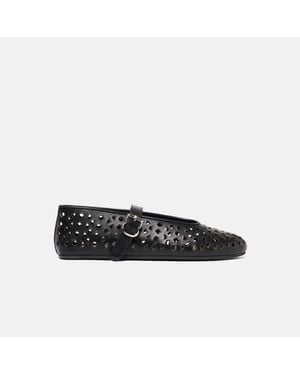 SCAROSSO Evelyn - Black