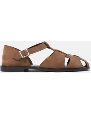 SCAROSSO Apollo Taupe Suede - Marrone