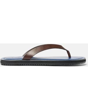 SCAROSSO Ascanio Edit - Brown