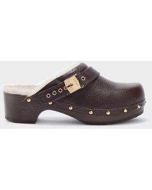 Scholl Pescura Robin - Marrone