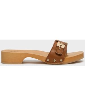 Scholl Pescura Cameron - Marrone