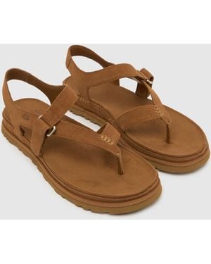 UGG Goldengaze Toe Post Sandals - Brown
