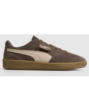 PUMA Palermo Trainers - Brown