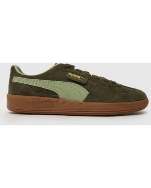 PUMA Palermo Trainers - Green