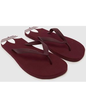 adidas Adi Sun Flip Flops - Red
