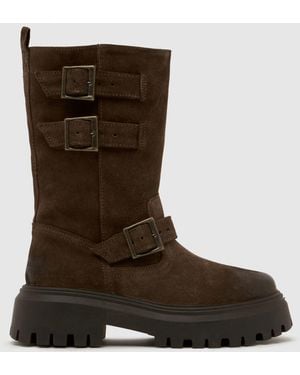 schuh Danbury Suede Biker Boot Boots - Brown