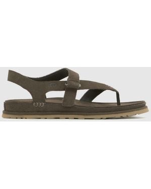 UGG Goldengaze Toe Post Sandals - Brown