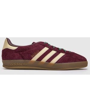 adidas Gazelle Indoor Trainers - Red