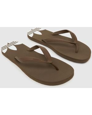 adidas Adi Sun Sandals - Brown
