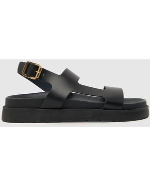 schuh Ladies Tasmin Chunky Leather Sandals - Black