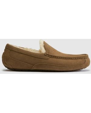 UGG Ascot Slippers - Brown
