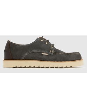 Barbour Aydon Derby Shoes - Brown