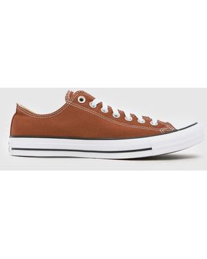 Converse All Star Ox Trainers - Brown
