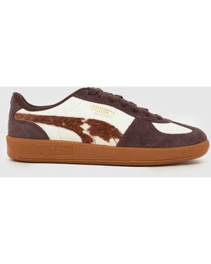 PUMA Palermo Trainers - Brown