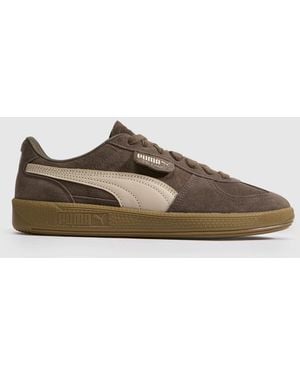 PUMA Palermo Trainers - Brown