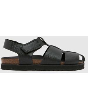 Schuh Sebastian Fisherman Sandals In - Black