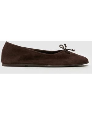 Schuh Lambert Ballerina Flat Shoes In - Brown