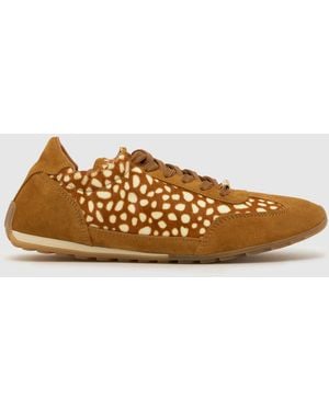 Steve Madden Bobby Trainers - Brown