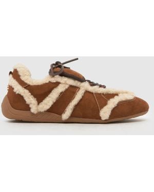 Steve Madden Freezone Trainers - Brown