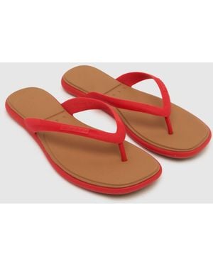 Reef Water Willow Malibu Sandals - Red