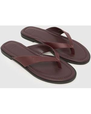 schuh Thailand Leather Toe Post Sandals - Brown