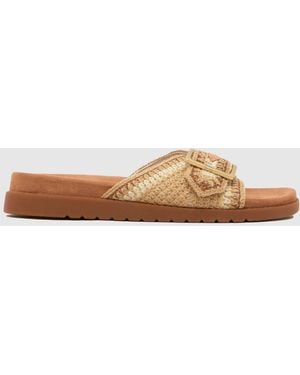 TOMS Marin Slide Sandals - Brown
