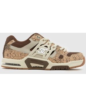 Dc At-2 Trainers - Brown
