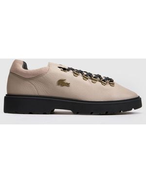 Lacoste Baseshot Winter Trainers - Brown