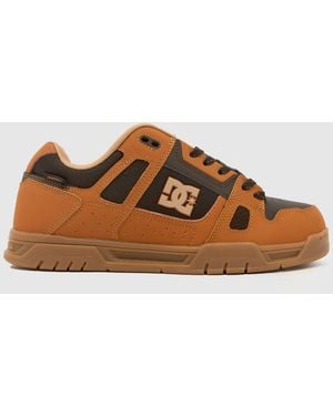 Dc Stag Trainers - Brown
