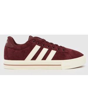 adidas Daily 4.0 Trainers - Brown