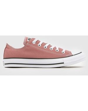 Converse All Star Ox Trainers - Pink