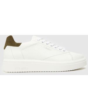 Steve Madden Fynner Trainers - White