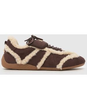 Steve Madden Freezone Trainers - Brown