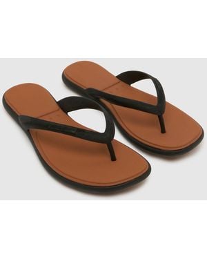 Reef Water Willow Malibu Sandals - Brown