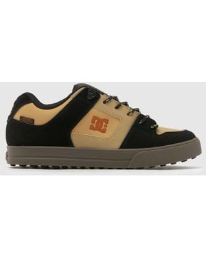 Dc Pure Trainers - Brown