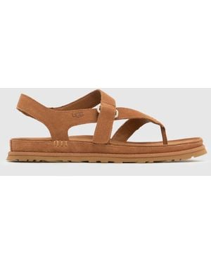 UGG Goldengaze Toe Post Sandals - Brown