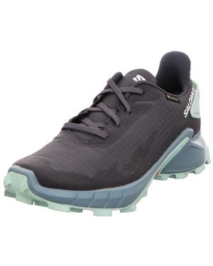 Salomon Alphacross 4 Gtx Dunkel_Grau - Blau