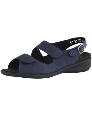 SOLIDUS 70023 80033 - Blau