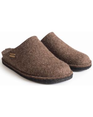 Haflinger Dunkel_Braun - Schwarz