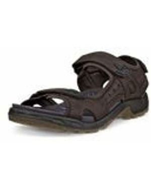 Ecco Offroad Schwarz