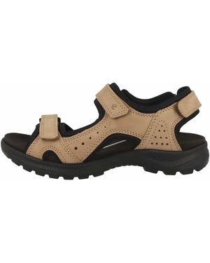 Ecco Onrodas Braun