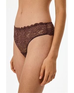 Penti Lace Briefs - Brown