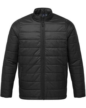 PREMIER Recyclight Padded Jacket - Black